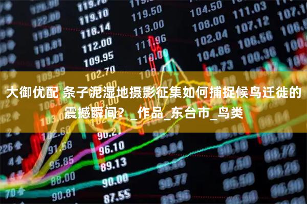 大御优配 条子泥湿地摄影征集如何捕捉候鸟迁徙的震撼瞬间？_作品_东台市_鸟类