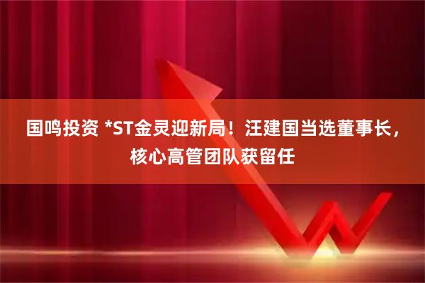 国鸣投资 *ST金灵迎新局！汪建国当选董事长，核心高管团队获留任