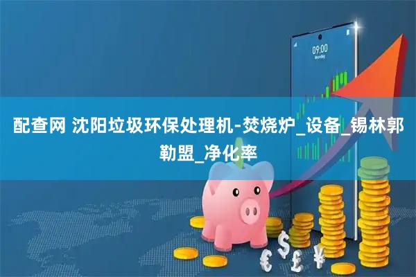 配查网 沈阳垃圾环保处理机-焚烧炉_设备_锡林郭勒盟_净化率