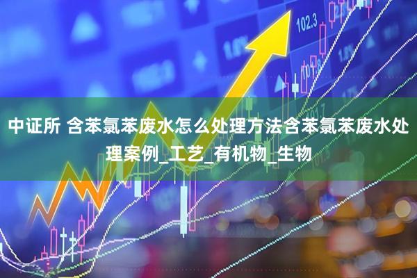 中证所 含苯氯苯废水怎么处理方法含苯氯苯废水处理案例_工艺_有机物_生物